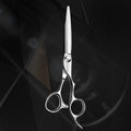AOLANDUO 6.0 Inch Professional Hair Shears – VG10 Steel Convex Edge with Decorative Outer Groove, CNC Precision Screw & Oversized Thumb Ring – All-Purpose Salon Scissors for Dry & Wet Cutting