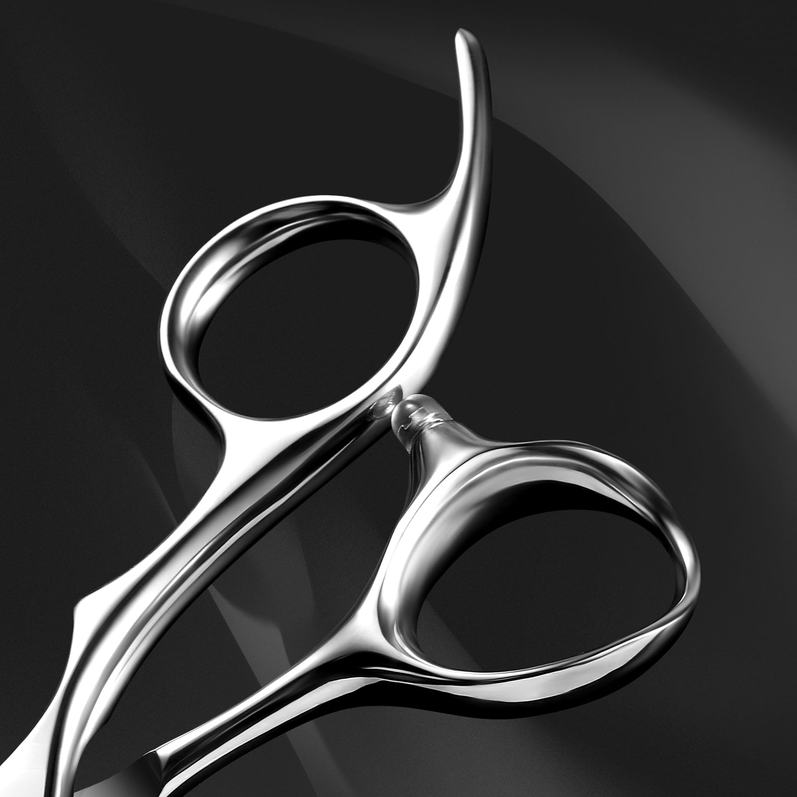 AOLANDUO 6.0 Inch Professional Hair Shears – VG10 Steel Convex Edge with Decorative Outer Groove, CNC Precision Screw & Oversized Thumb Ring – All-Purpose Salon Scissors for Dry & Wet Cutting