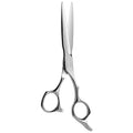 AOLANDUO Master Series VG10 Steel Professional Hair Cutting Scissors, Ultra-Sharp Barber & Stylist Shears, Best Hair Cutting Scissors Professional, 1 Count, 6.0 Inch, Silver White
