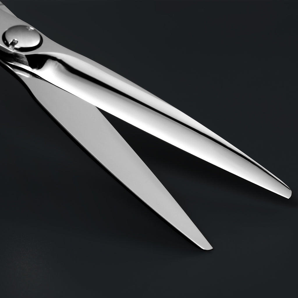 AOLANDUO Master Series VG10 Steel Professional Hair Cutting Scissors, Ultra-Sharp Barber & Stylist Shears, Best Hair Cutting Scissors Professional, 1 Count, 6.0 Inch, Silver White